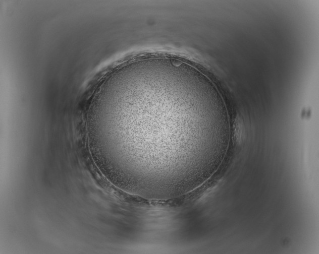 X0000111391494200907171233