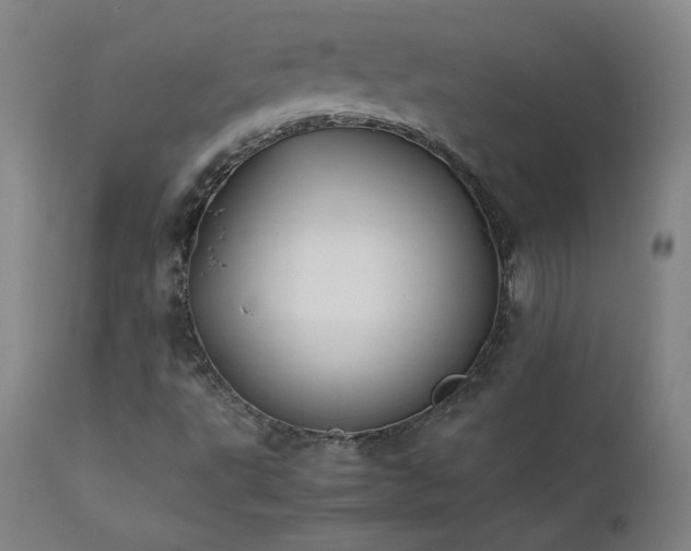 X0000111391495200907171233