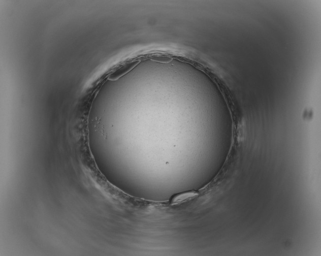 X0000111391496200907171233