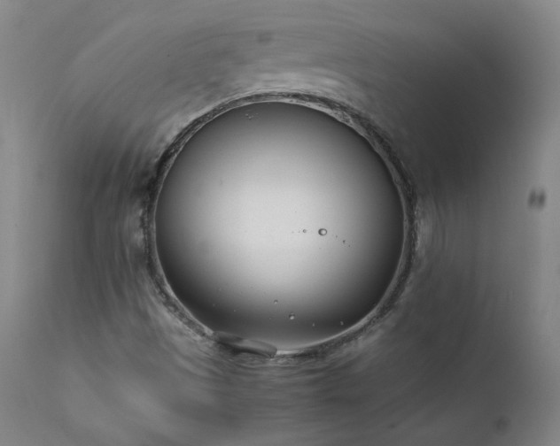 X0000111391497200907171233