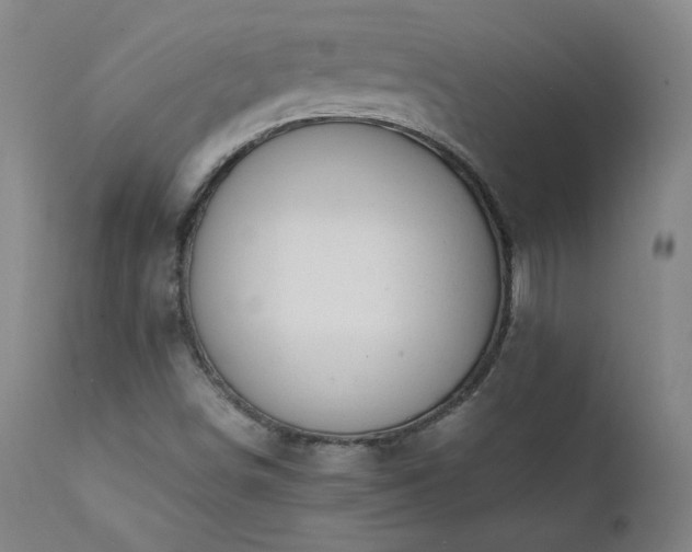 X0000111391498200907171233