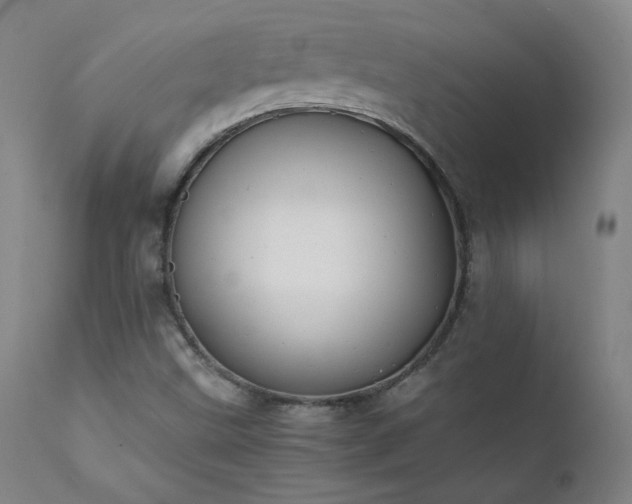 X0000111391499200907171233