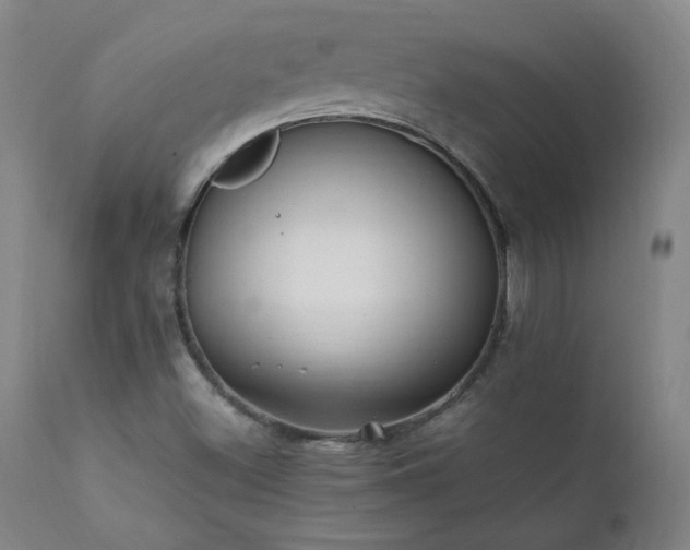 X0000111391500200907171233