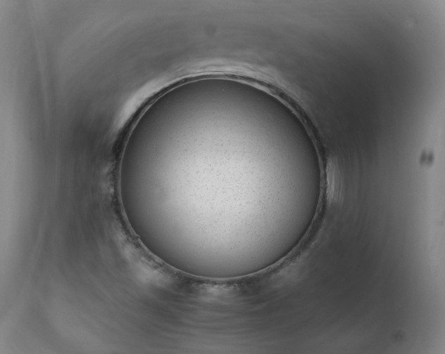 X0000111391501200907171233