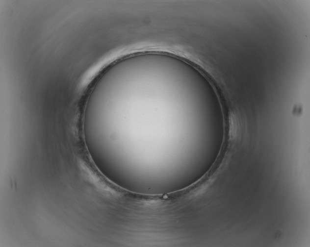 X0000111391502200907171233