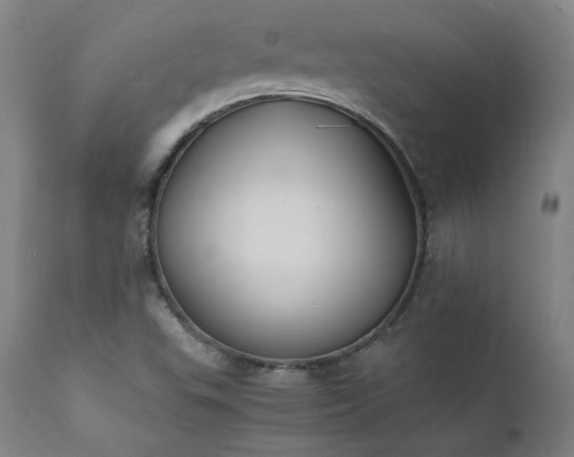 X0000111391503200907171233