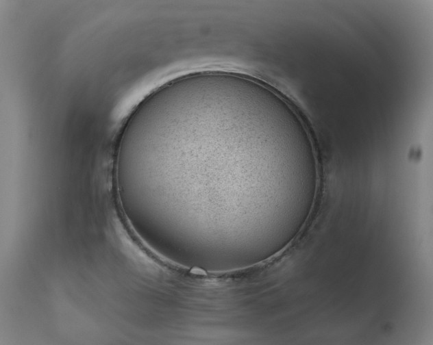 X0000111391504200907171233