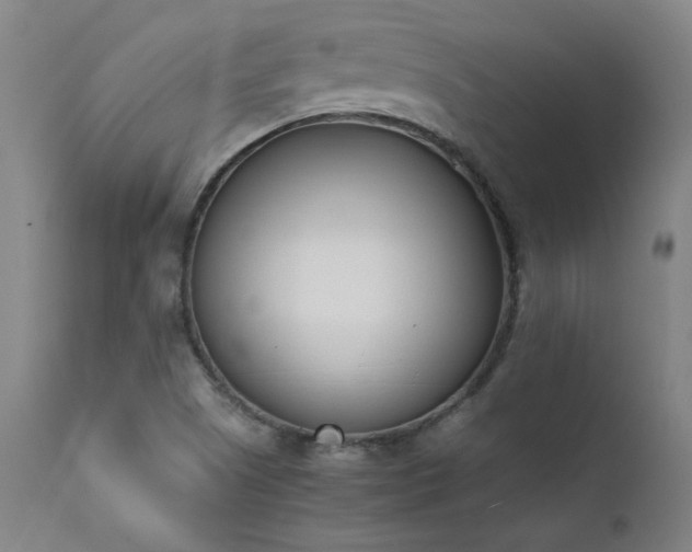 X0000111391505200907171233