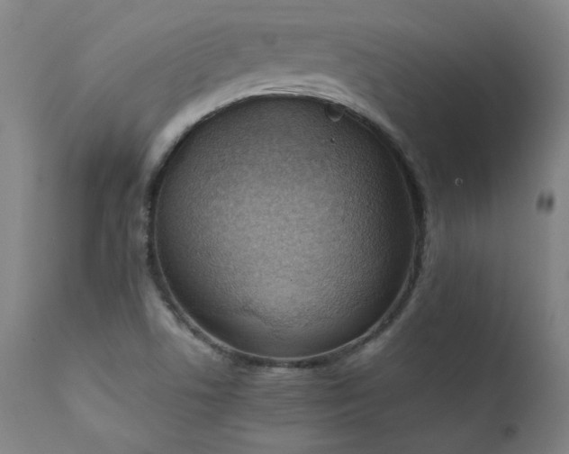 X0000111391506200907171234