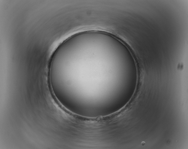 X0000111391508200907171234