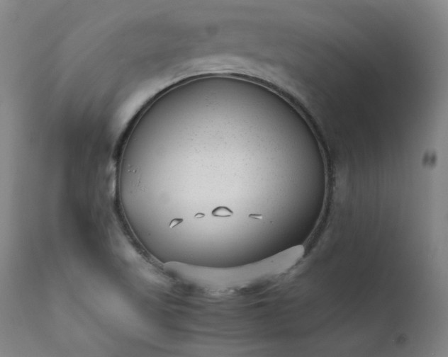 X0000111391509200907171234