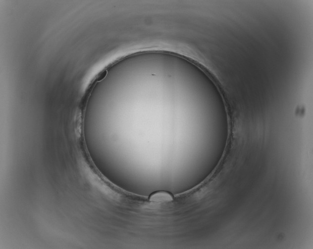 X0000111391510200907171234