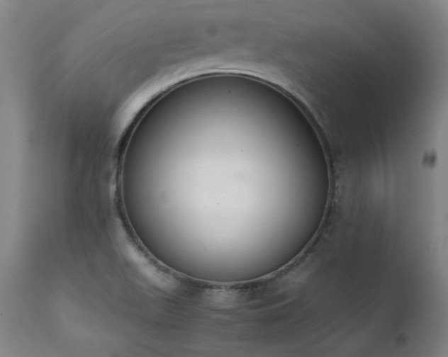 X0000111391511200907171234