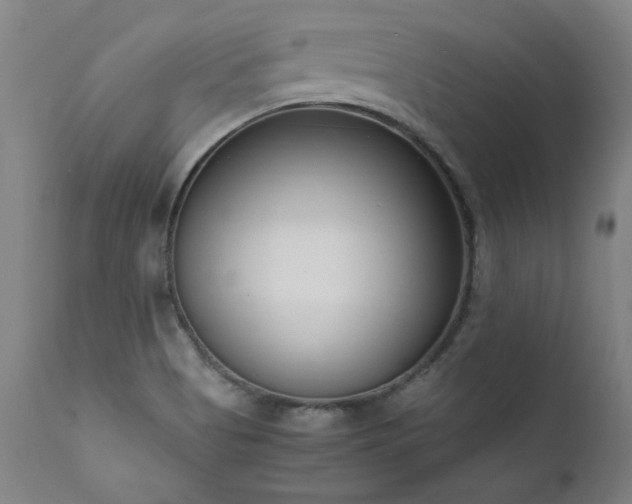 X0000111391513200907171234