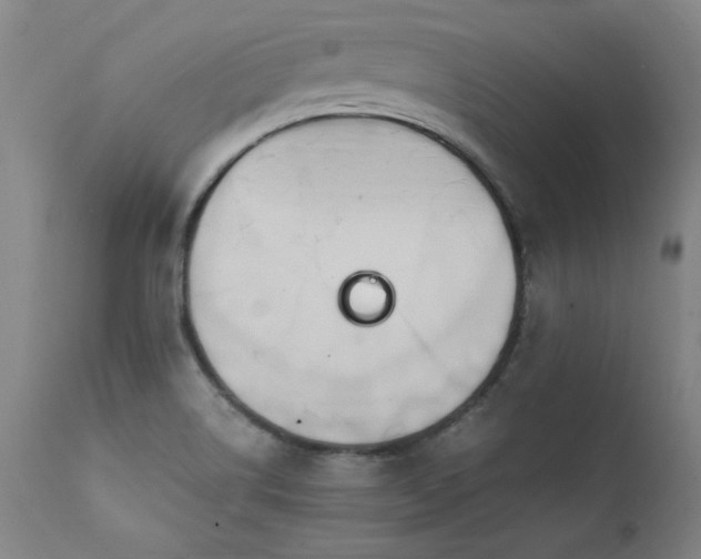 X0000111391514200907171234