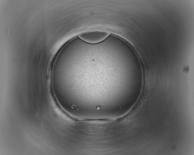 X0000111391515200907171234