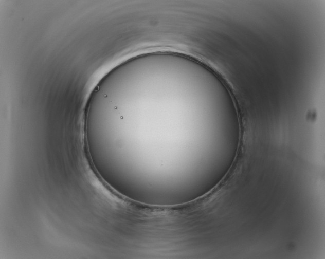 X0000111391516200907171234