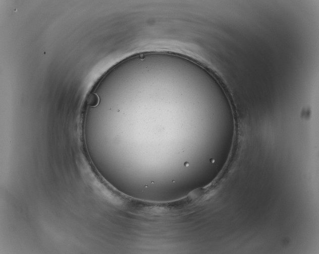 X0000111391517200907171234