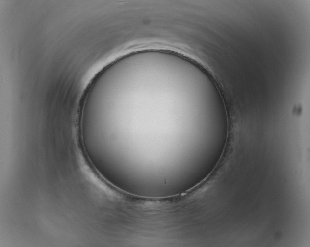 X0000111391518200907171234