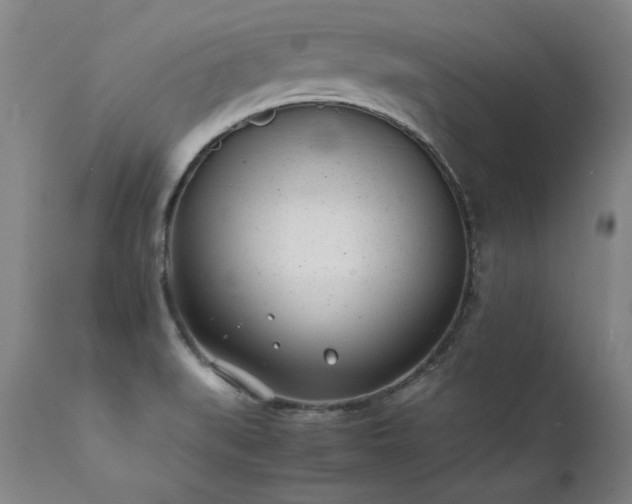 X0000111391519200907171234