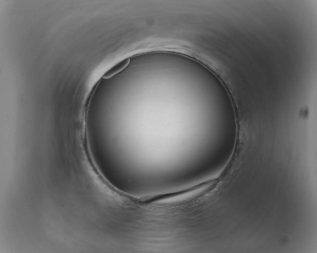 X0000111391520200907171234