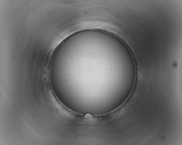 X0000111391521200907171234