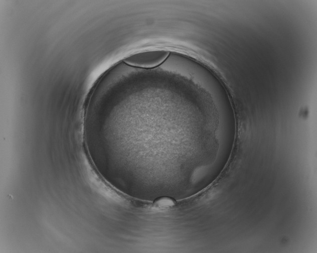 X0000111391522200907171234