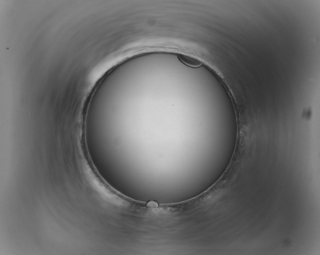 X0000111391523200907171234