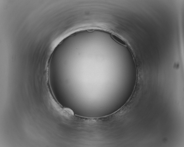 X0000111391524200907171234