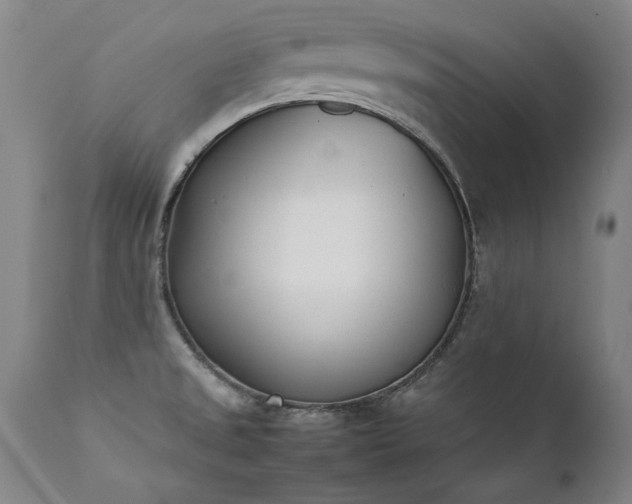 X0000111391525200907171234