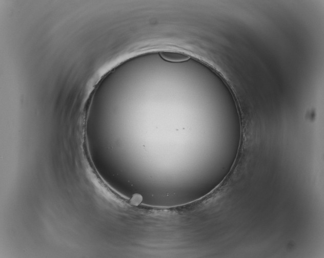 X0000111391526200907171234