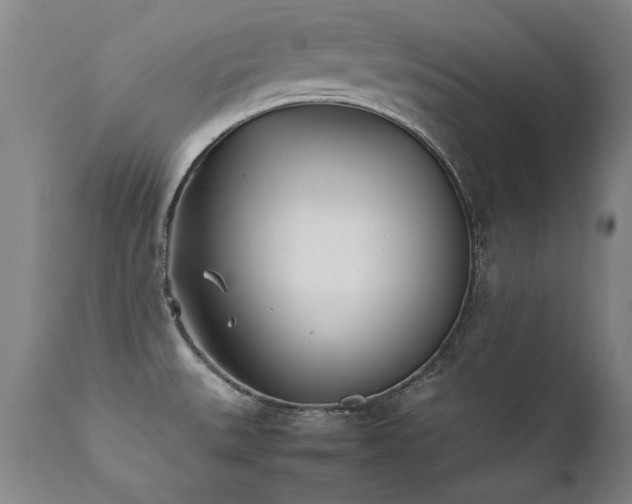 X0000111391527200907171234