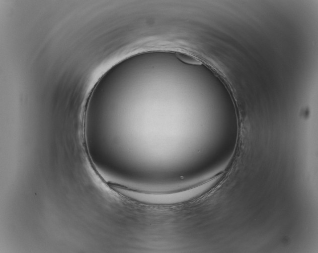 X0000111391528200907171234