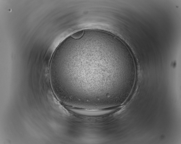 X0000111391529200907171234