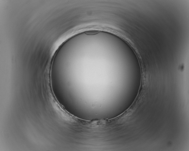 X0000111391530200907171234