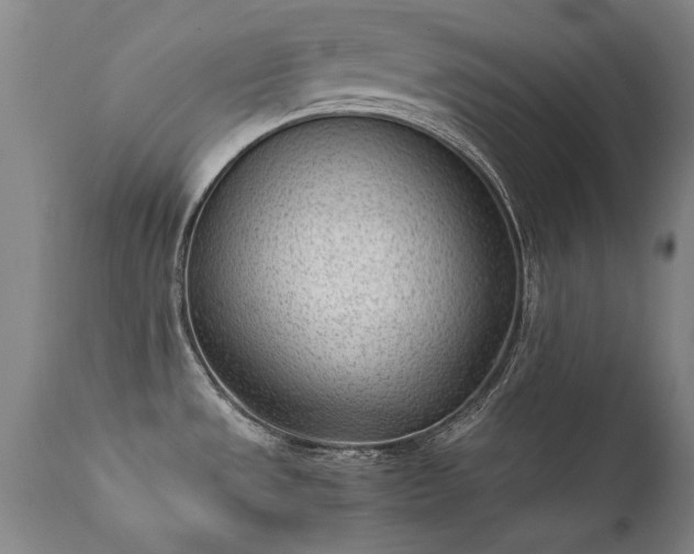 X0000111391533200907171234