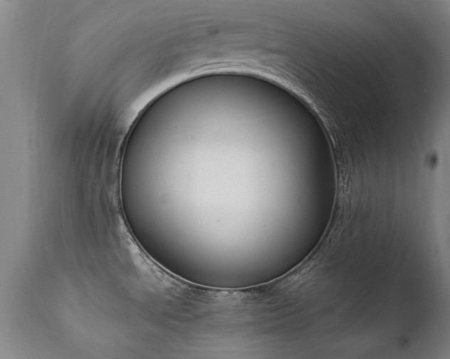 X0000111391534200907171234