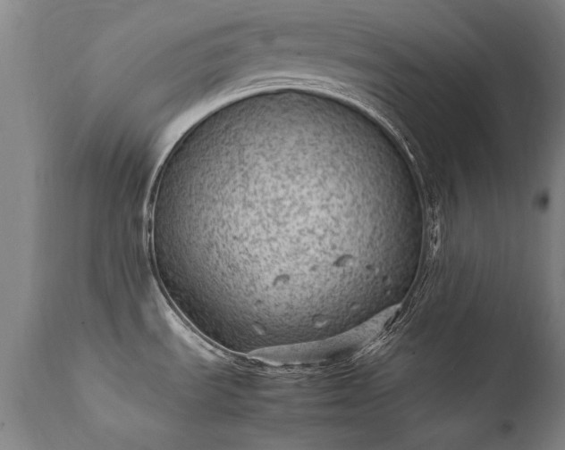 X0000111391535200907171234