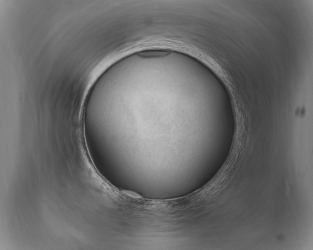 X0000111391536200907171234