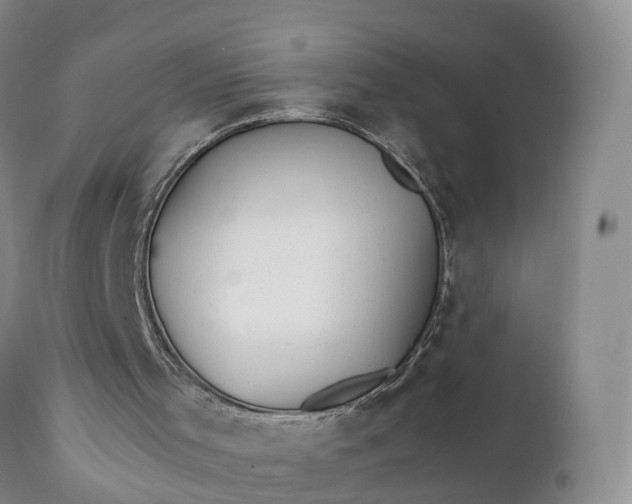 X0000111390001200907241345