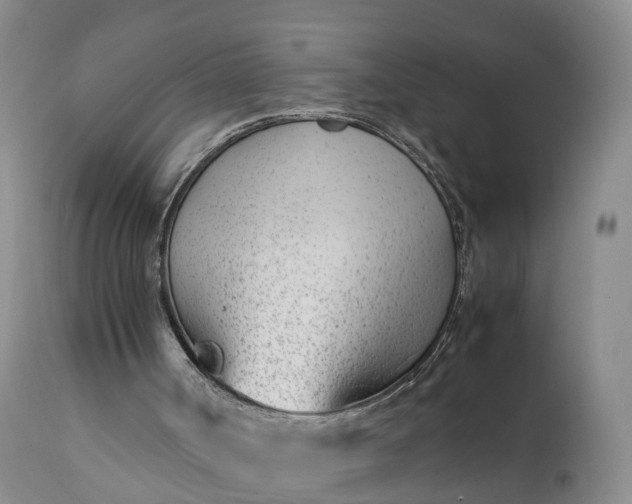 X0000111390002200907241345