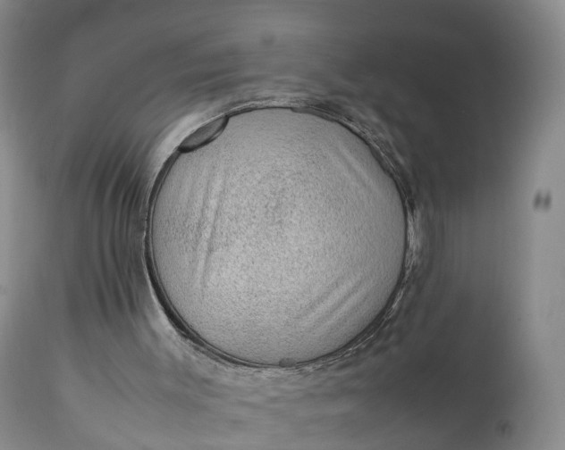 X0000111390003200907241345