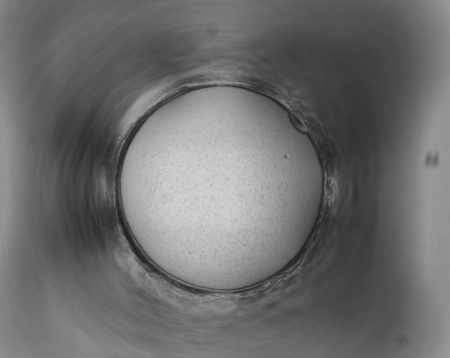 X0000111390004200907241345