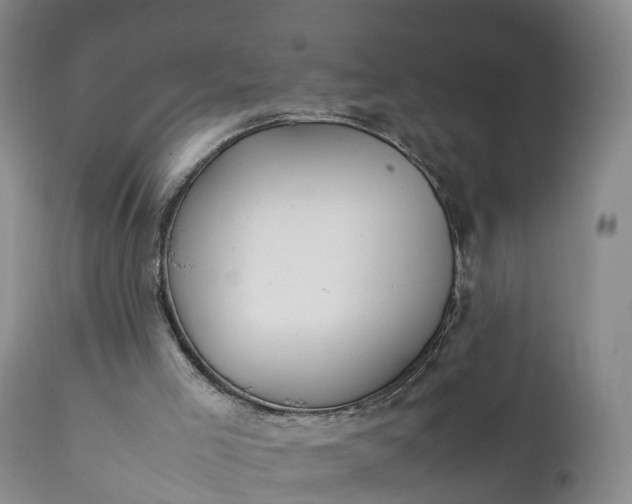 X0000111390005200907241345