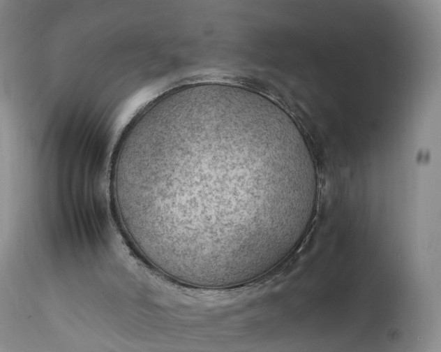 X0000111390006200907241345