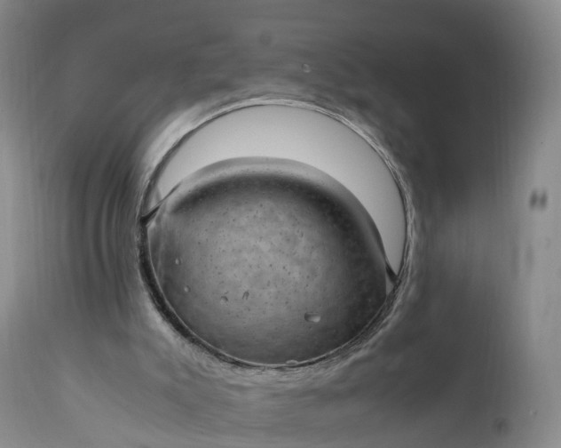 X0000111390007200907241345