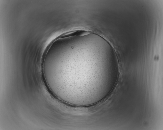 X0000111390008200907241345