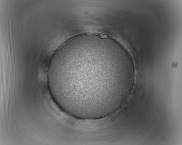 X0000111390009200907241345