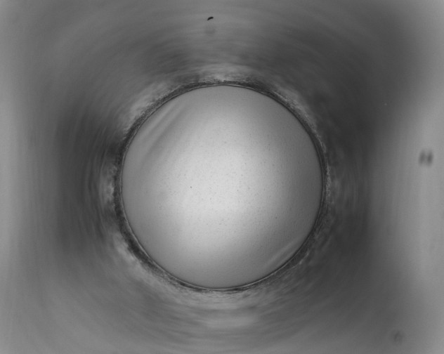 X0000111390010200907241345