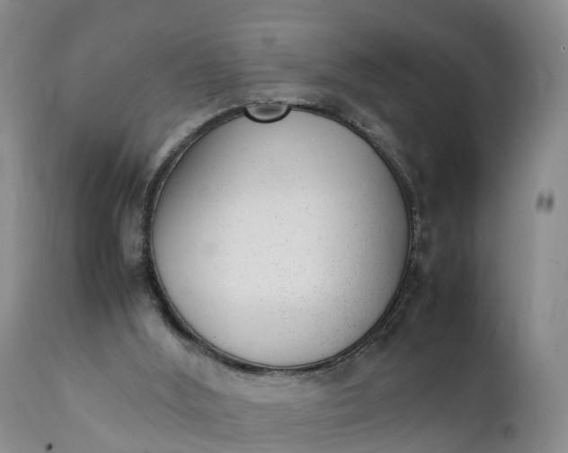 X0000111390012200907241345